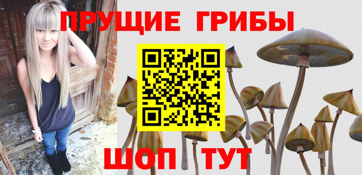 Галлюциногенные грибы Cubensis Новомосковск