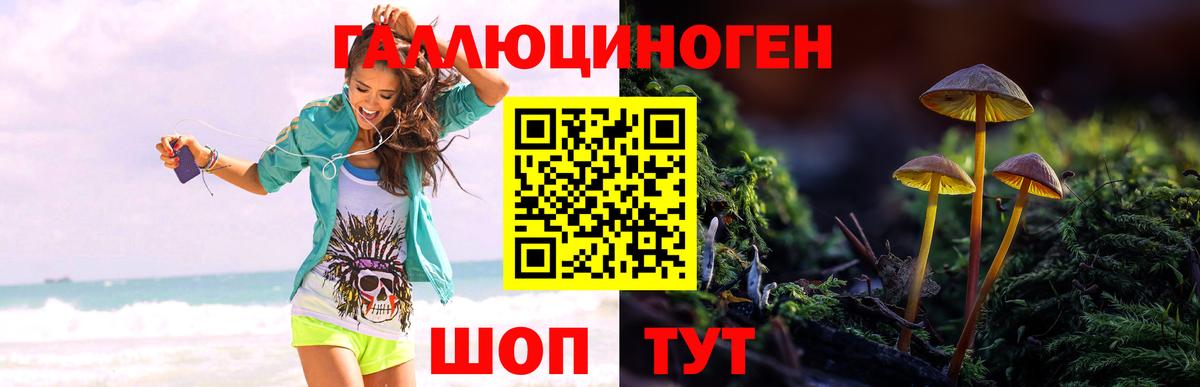 Псилоцибиновые грибы Psilocybine cubensis  Вход с VPN  Новомосковск  Псилоцибиновые грибы Psilocybe 